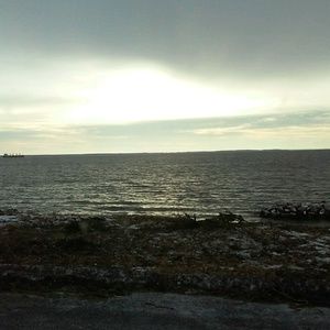 Meet your Posher, Tracey